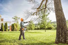 Best Lawn Watering Services  in Fairfax, CA
